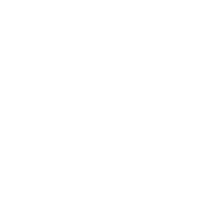 Burton Snowboards